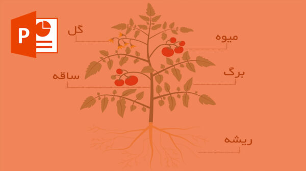 دانلود پاورپوینت درمورد شناخت اجزای گل ها و مراقبت از آنها