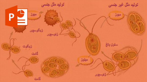دانلود پاورپوینت درمورد تولید مثل جانداران