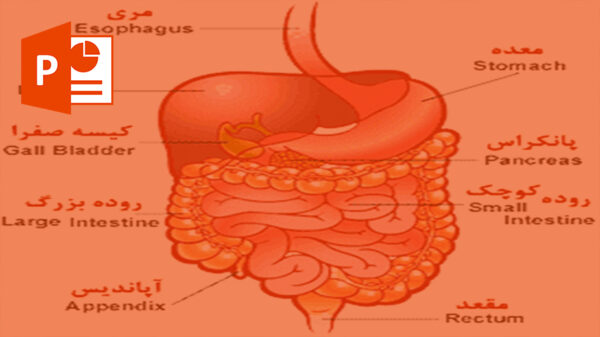 دانلود پاورپوینت درمورد دستگاه گوارش