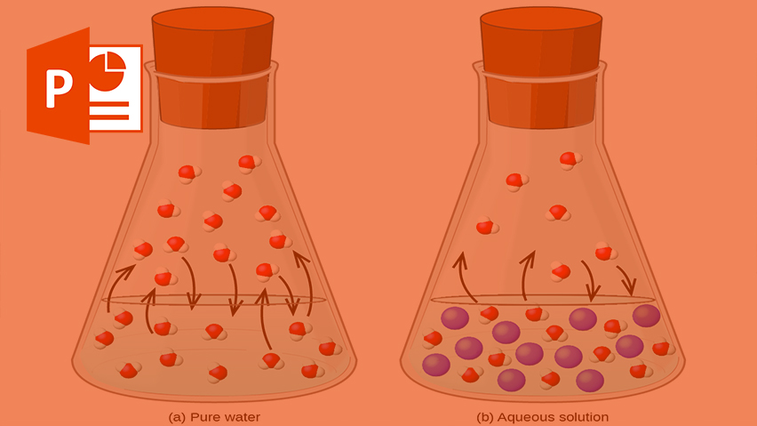 Water vapor بخار آب (انگلیسی)