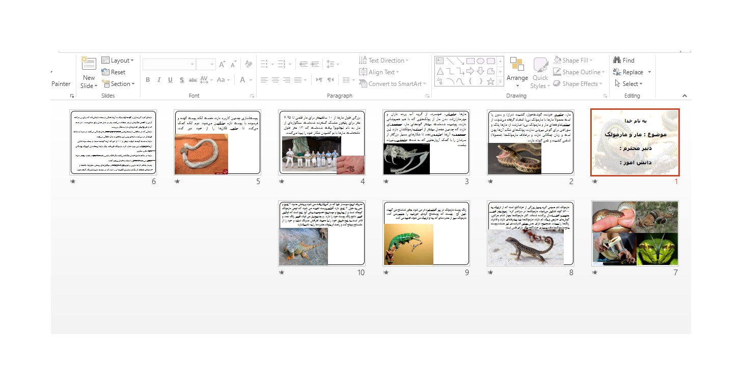 خرید و دانلود پاورپوینت مار و مارمولک