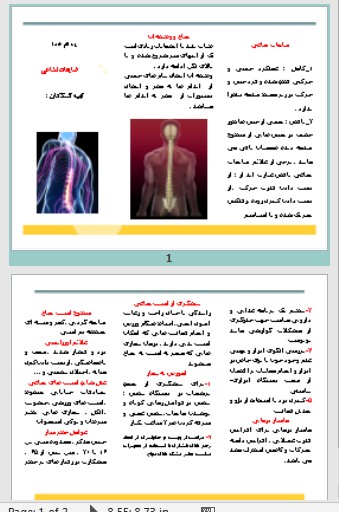 خرید و دانلود بروشور ضایعات نخاعی