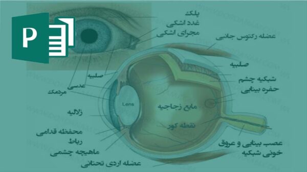بروشور درباره چشم و ساختمان چشم