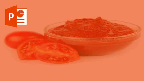 تولید کنسرو گوجه فرنگی
