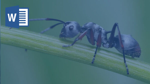 مورچه اتمی