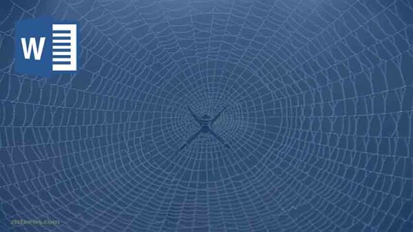 نظم تار عنکبوت و رابطه آن با ریاضی