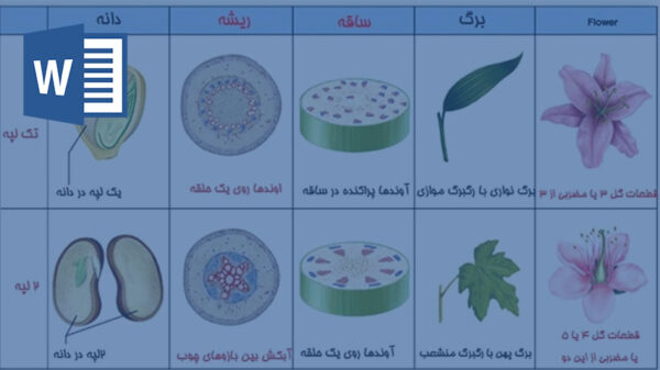 گیاهان تک لپه ای و دو لپه ای کلاس سوم