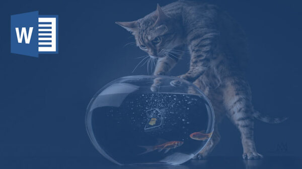 قصه گربه شکمو و ماهی باهوش