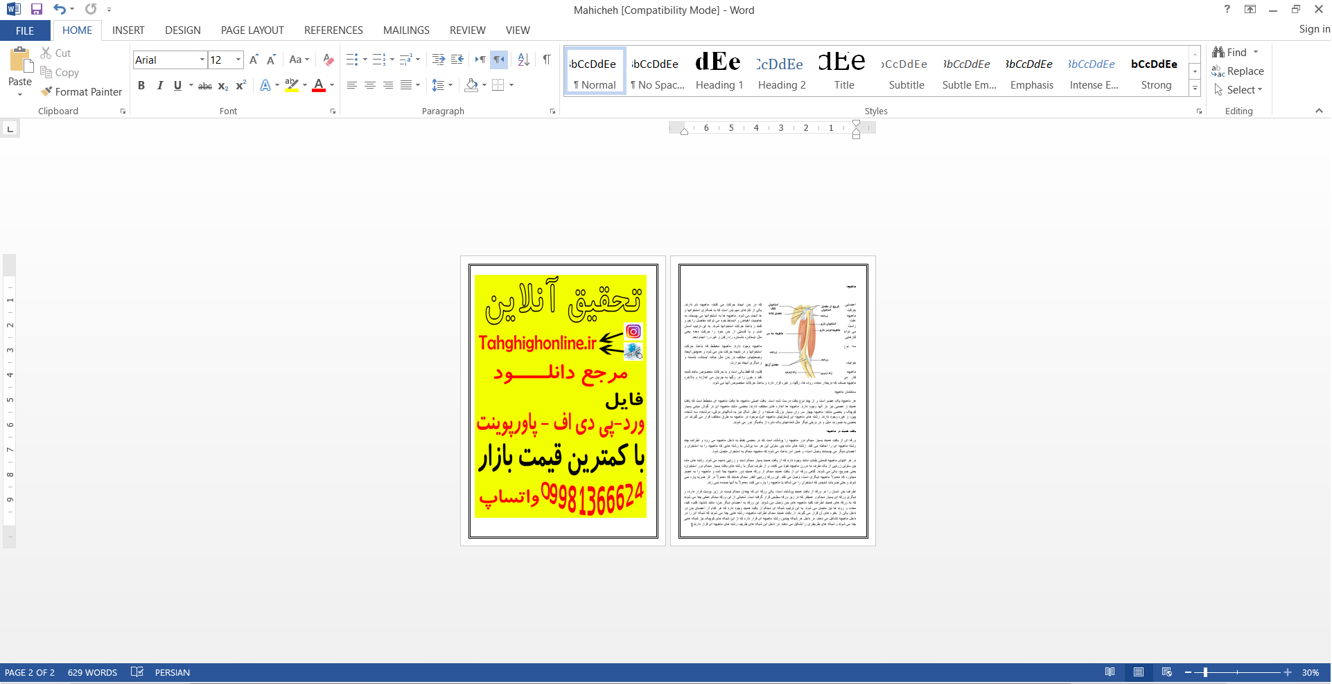 خرید و دانلود تحقیق ماهیچه