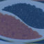 ماهی های خاویاری و طرز تهیه آن
