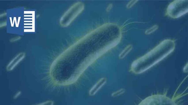 فواید باکتری ها برای انسان