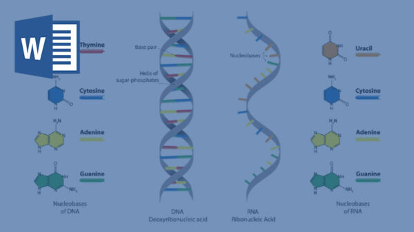 تحقیق در مورد ساختار مولکولی DNA