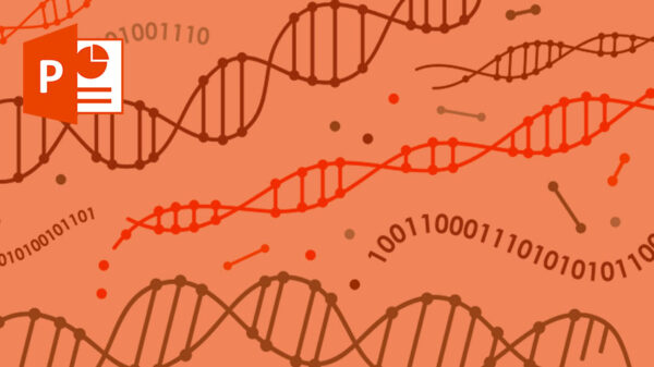 حل مسئله کوله پشتی با الگوریتم های ژنتیک