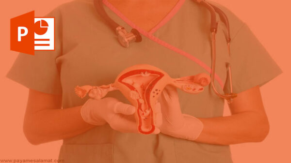 فیزیولوژی و آناتومی ناحیه تناسلی زنان