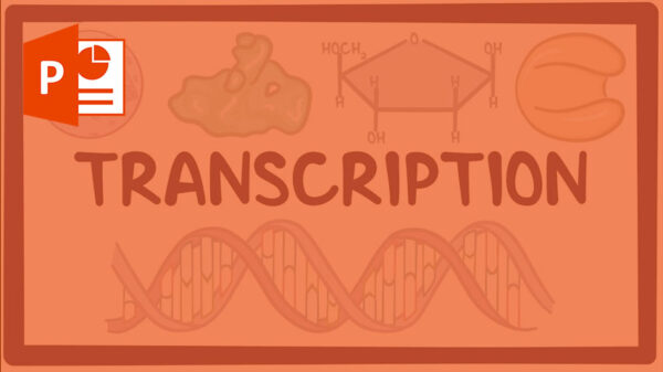 rna پیک