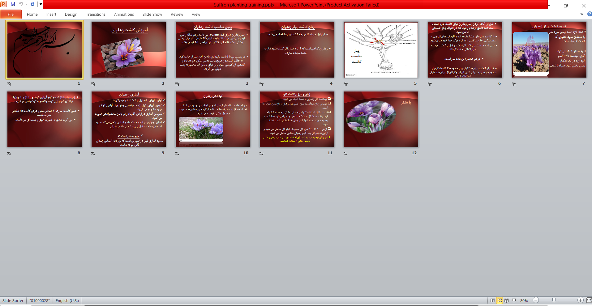 خرید و دانلود پاورپوینت آموزش کاشت زعفران