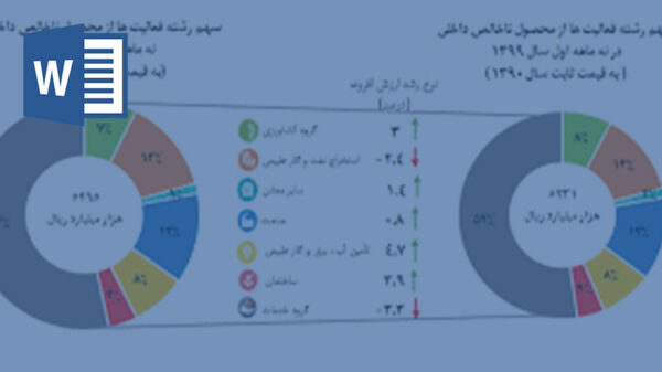 خرید و دانلود تحقیق سهم و نقش بانوان در تولید ناخالص ملی GNP از سال ۹۰ تا ۱۴۰۰