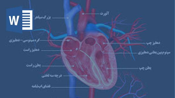 خرید و دانلود تحقیق آناتومی قلب